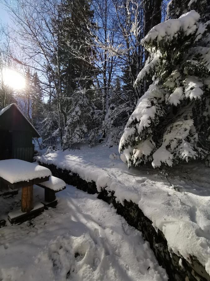 Koca Kresnica Ilirska Bistrica Exterior foto