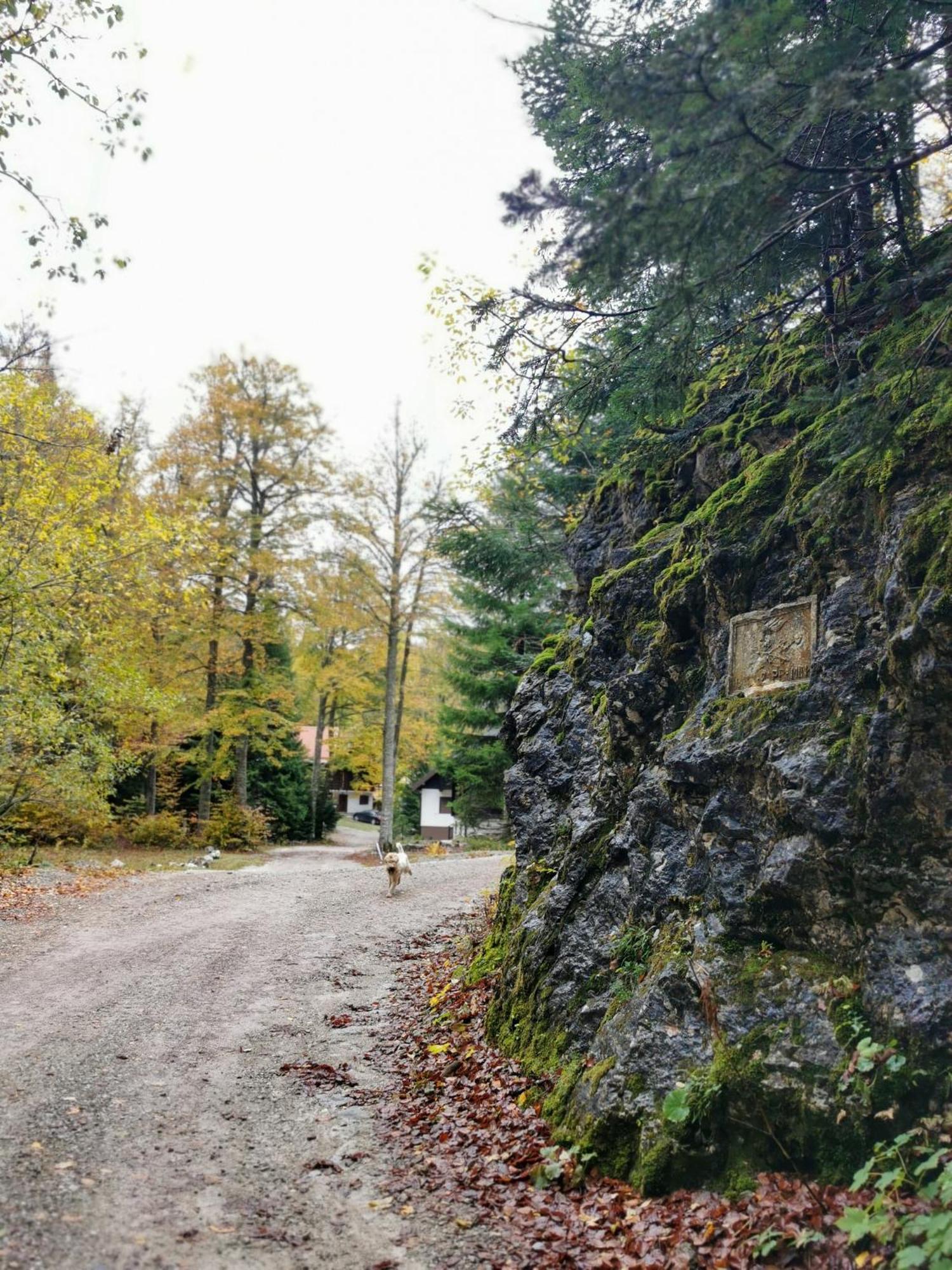 Koca Kresnica Ilirska Bistrica Exterior foto