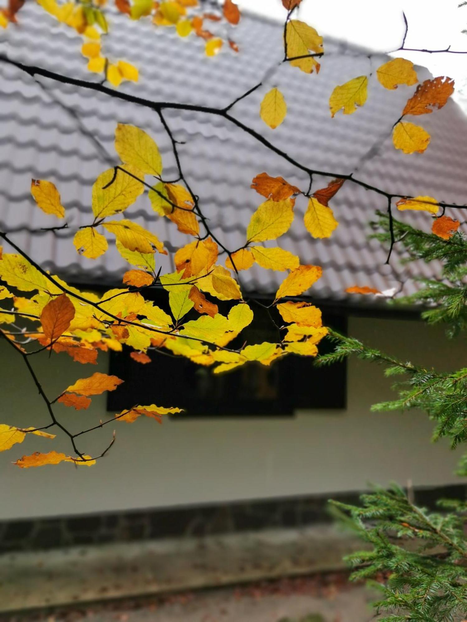 Koca Kresnica Ilirska Bistrica Exterior foto